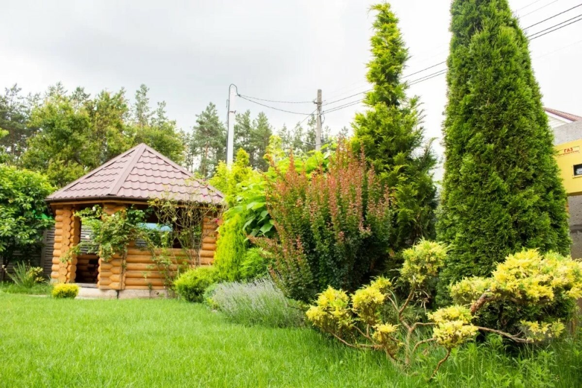 https://kovrov.tgv-stroy.ru/storage/app/uploads/public/637/ef4/fb3/637ef4fb3605f391429275.png